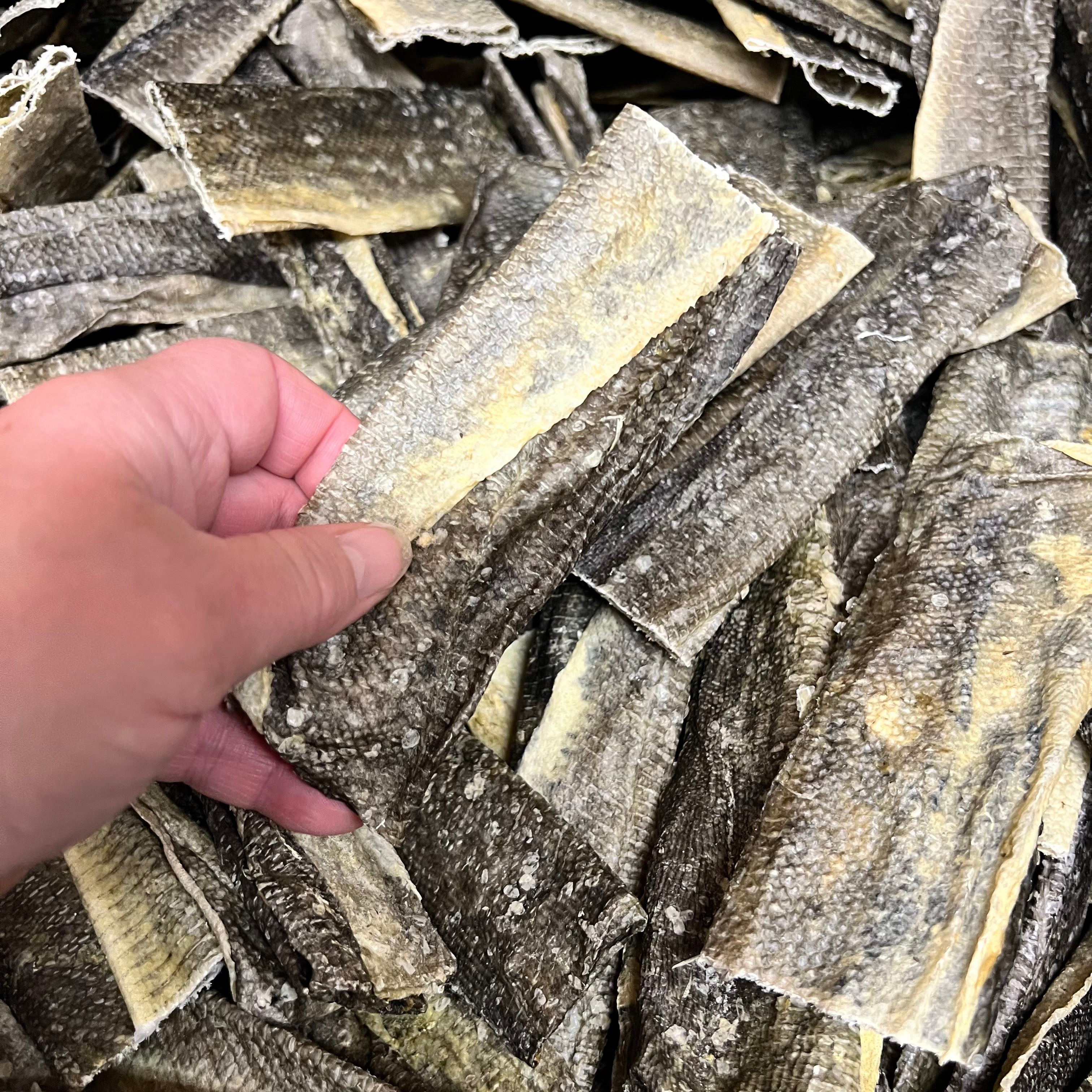 Fish Skin Flatties x 5